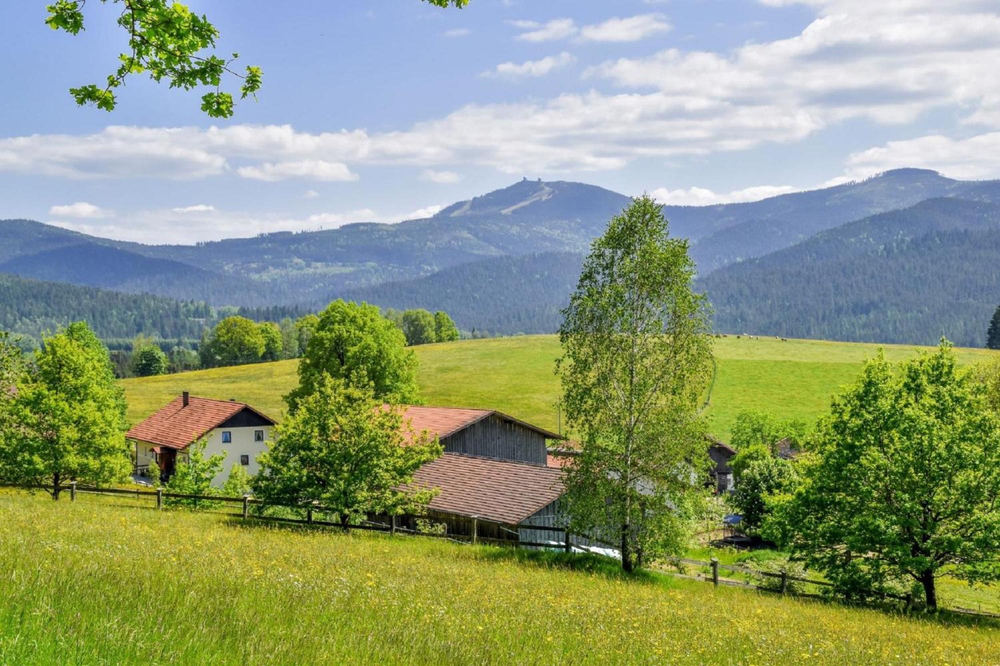 Urlaub Auf Dem Haberlhof Villa Lohberg Exterior photo